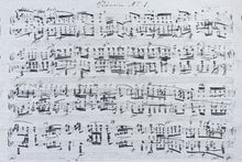 Load image into Gallery viewer, LennyUpGrade PRO Carrier - MELODY - POLONAISE - 100% cotton
