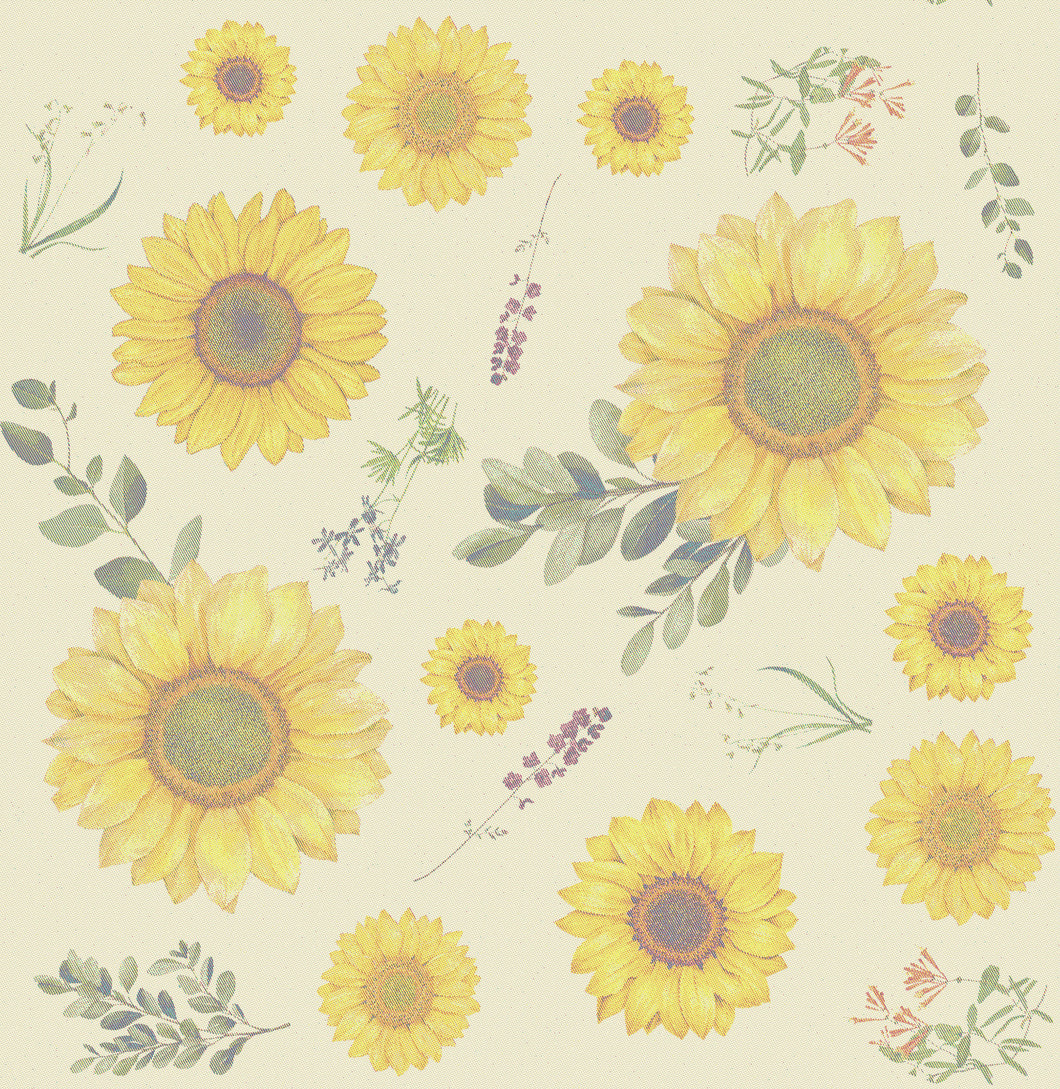 Vorbestellen! - SUNFLOWERS - 100% Baumwolle